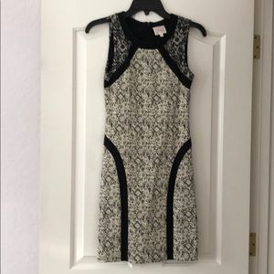Parker party dress size xs